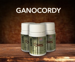 GANOCORDY